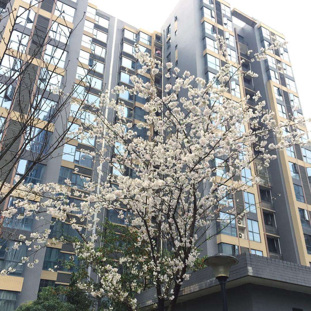 2019-03-16.jpg